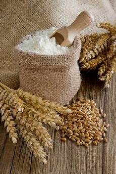 Semi-Hard Wheat Flour