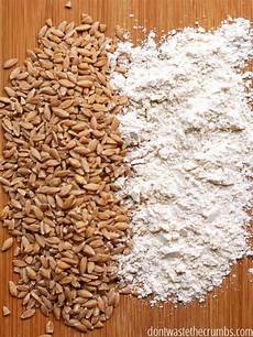 Wheat Germ Flour