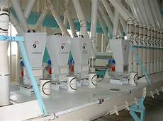 Flour Filling Lines
