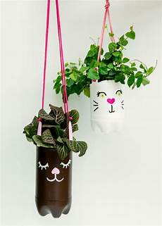 Flour Plants
