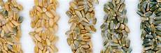 Flour Plants