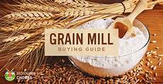Maize Flour Mill Plant